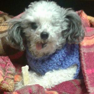 Meet your Posher, Georgette